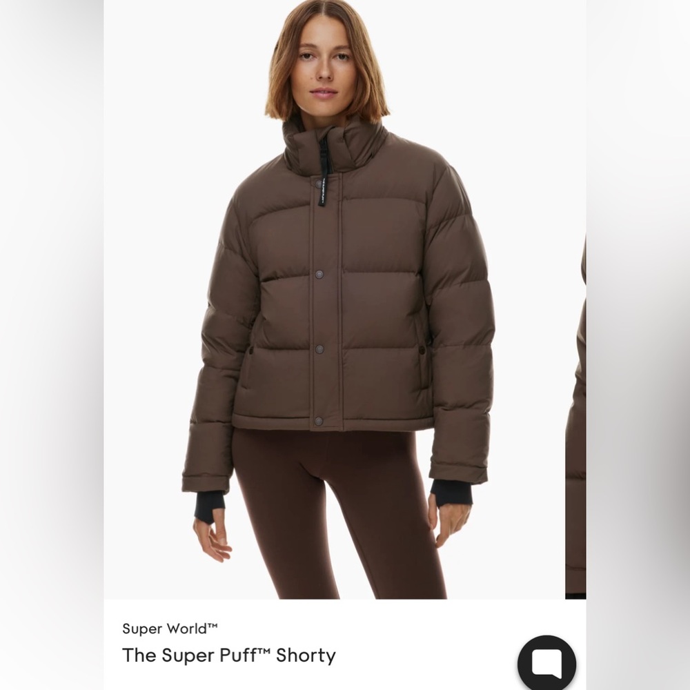 Aritzia Super Puff Shorty